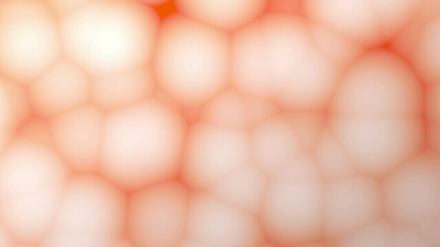 a lot of bubles in abstract motion. Light blur 3D animation.