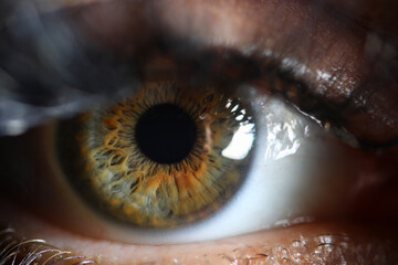 Human green eye retina supermacro closeup background. Check vision concept