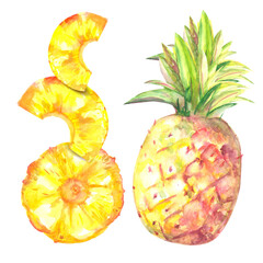 watercolor pineapple with several cut slices