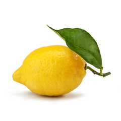 Siracusa lemon, Limone di Siracusa IGP, cultivar "femminello" Citrus  limon 