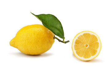 Siracusa lemon, Limone di Siracusa IGP, cultivar "femminello" Citrus  limon 