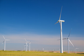 Fototapeta premium Renewable energy concept
