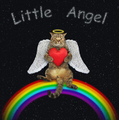 The beige cat angel with wings and a halo above his head is sitting on the rainbow and holding a heart shaped red cushion. Stars night background.