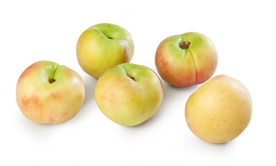variety of Peach 