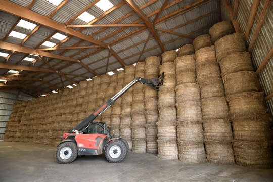 Coop&eacute;rative lini&egrave;re de teillage, d&eacute;chargement et stockage du lin