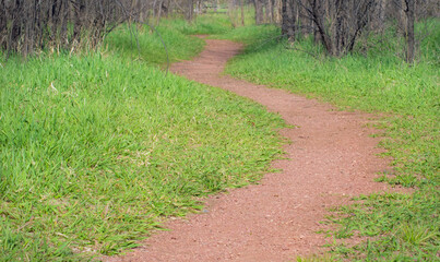 A winding dirt path leads through a forested wooded area with green grass.