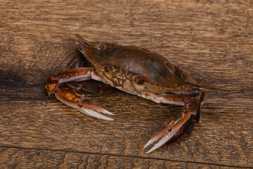 Raw crab - ready for cooking
