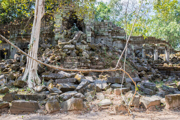 Beng Mealea temple ruins and banyan tree, the Angkor Wat style located east of the main group of temples at Angkor, Siem Reap, Cambodia.