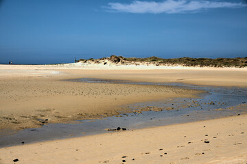 Fototapeta na wymiar Playa con grandes dunas en una zona medioambiental protegida