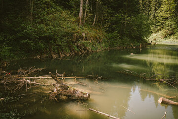 A close up of a pond