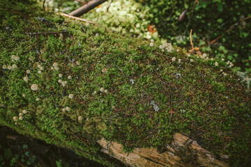 A close up of a sign