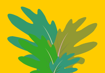 vector illustration of a leaf