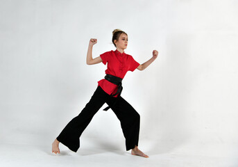 Fototapeta na wymiar beautiful girl in black and red does exercises for mastery of martial arts