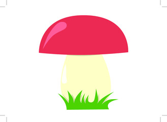 Boletus mushroom with red hat, leg and green grass.