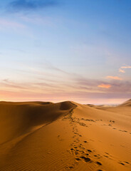 Fototapeta na wymiar Sand dunes in the Empty Quarter (Rub' al Khali) Saudi Arabia