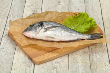 Raw Dorada fish  for cooking