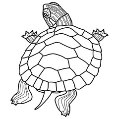 Vector illustration for coloring book. Realistic design pond slider or turtle. Marine inhabitants. Children's illustration. Pet turtle red-eared slider