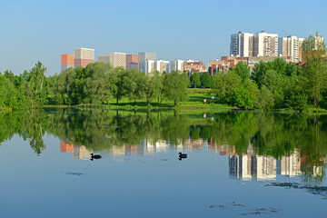Fototapeta na wymiar Mitinsky Landscape Park in summer. Moscow, Russia
