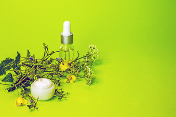Transparent cosmetic bottle with a liquid and a dropper next to medicinal herbs on a green background. The concept of natural organic cosmetics and skin care. Copy space