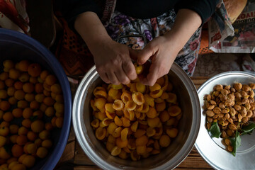 woman removing the core of apricots to make apricot jam