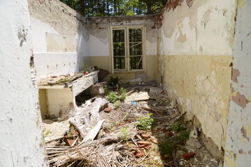 Where the kitchen once was in the ruins of a derelict abandoned house in the forest.