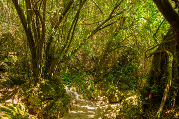 Kursunlu waterfall is one of the most attractive landscapes in terms of lush plants and small or big various picnic areas in Antalya.