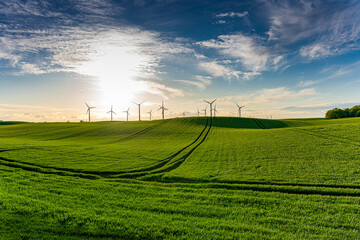Wind farm, windmills at sunset