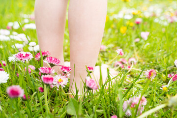 Small baby bare legs,feet of little girl in grass with flowers of daisies.Summer concept.Kids walk...