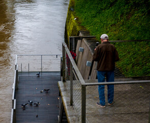 old man by the river after heavy rain feeds birds