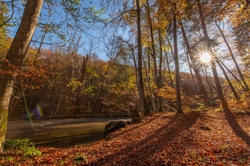 Herbststimmung im Mühlthal bei Starnberg