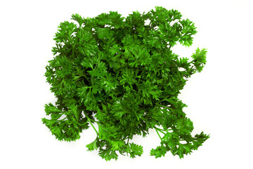 Top view of parsley on white background