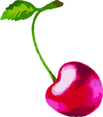 cherry on a white background