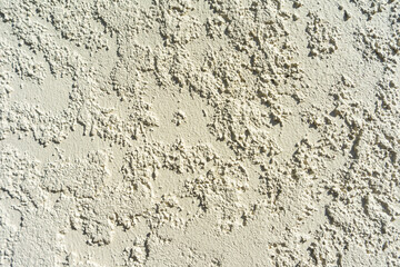 Brushed concrete matte texture on wall in South Florida home