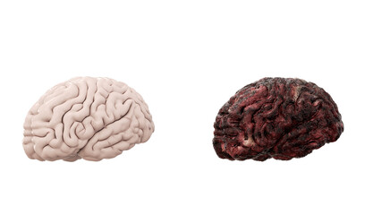 healthy brain and disease brain on white isolate. Autopsy medical concept. Cancer and smoking problem. 3d rendering