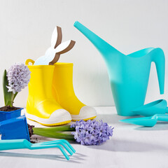 Yellow rubber boots and blue watering can with a bouquet of flowers of white and pink tulips