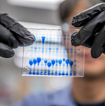 DNA samples for bioscience research