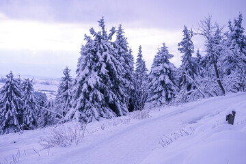 Winter path in winter forest landscape in the mountains near Oberwiesenthal, Germany in the Ore...
