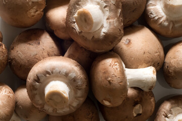 Mushroom on a market