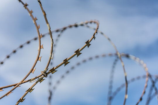 Barbed wire on the fence against the sky. Protection, barrier, prison. Copy space