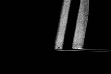 Abstract background of a white wall with shadows from the window. - monochrome