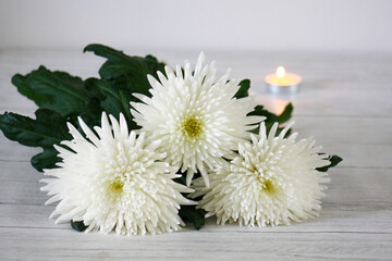 Three white flowers on wooden table with burning tea light on the background. Memorial and...