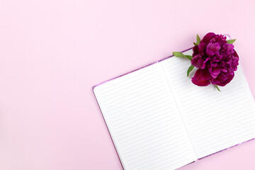 Female desktop, peony flower on open notepad, on pastel pink background. Concept business, work from home, freelance, creative professions. Flat lay, top view. Horizontal. For social media.