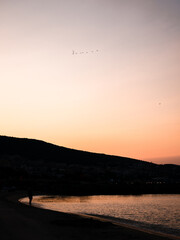 sunset on the beach with birds