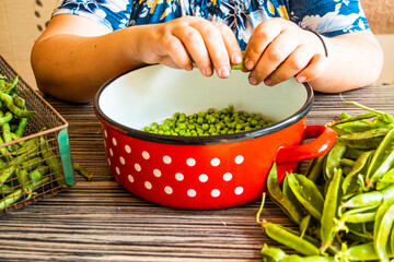 women opening fresh beans in a bowl