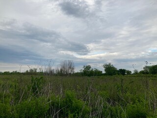 Fototapeta na wymiar clouds over the field in spring