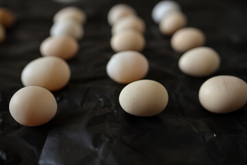Chicken eggs on a black background. Chicken eggs are symmetrical. A few eggs on a black background. A group of white chicken eggs on a black background in studio.
