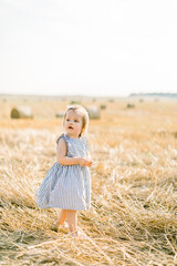 Naklejka na ściany i meble Happy cute toddler little baby girl in stylish striped dress walking on the background of sunny wheat summer field with hay stacks or bales, looking away
