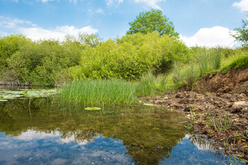 Still water fishing pond image