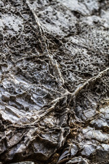 nature around the elba island