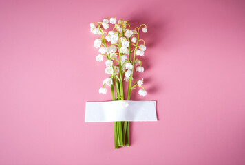 delicate little white flowers on a pink background from above. Space for text. Flat lay style.